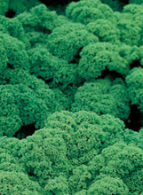 Load image into Gallery viewer, Kale Vates

