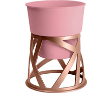 Load image into Gallery viewer, Curio Planter &amp; Copper Stand (6 Inch)
