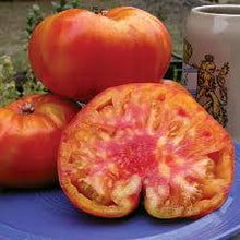Load image into Gallery viewer, Tomato 'Old German'
