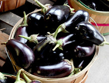 Load image into Gallery viewer, Eggplant 'Classic'
