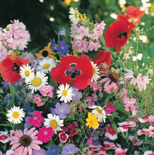 Load image into Gallery viewer, Wildflower Shade Mixture Seeds
