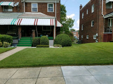 Load image into Gallery viewer, Zoysia Sod (10 Square Feet)
