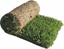 Load image into Gallery viewer, Zoysia Sod (10 Square Feet)
